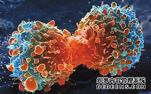 难得一见：中国顶级癌症专家盘点肺癌、乳腺癌、血液肿瘤治疗进展